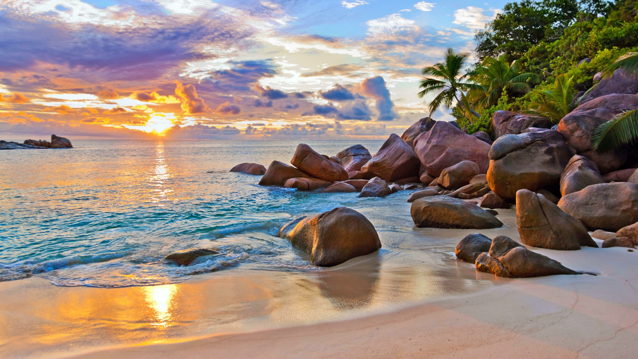 Top 10 First-Time Cruiser Essentials for an Amazing Voyage